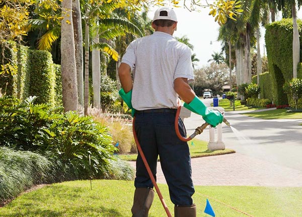 About Huntsville TN Pest Control Pros